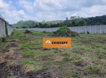 dba51772b8a253cdf48bf8cb28159dfde104cce4 · Área para alugar, 8000 m² por R$ 8.491,53/mês - Ipelândia - Suzano/SP