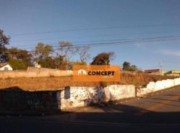 55674f966926a4a0266085aae236c38395d1d19e · Área à venda, 7070 m² por R$ 18.382.000,00 - Vila Zeferina - Itaquaquecetuba/SP