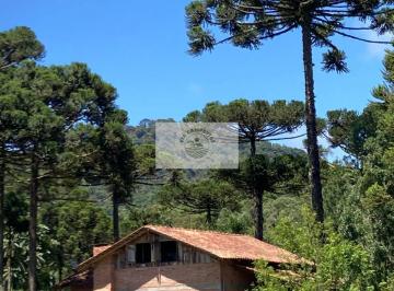 Rural · 35000m² · 2 Quartos · 2 Vagas · Sítio em Campo Alegre com 35.000 m², residencia rustica, terreno levemente ondulado, todo cercado