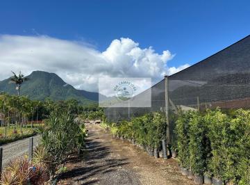 Rural · 8300m² · 1 Quarto · Sítio com 8.300 m², frente para o asfalto em Pirabeiraba, analisa permuta parcial