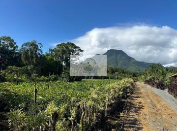 Rural · 8300m² · 1 Quarto · Sítio com 8.300 m², frente para o asfalto em Pirabeiraba, analisa permuta parcial