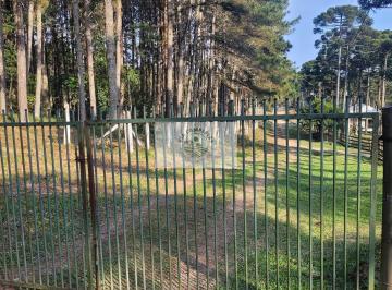 Rural · 52380m² · 1 Quarto · Sítio escriturado com 52.000 m², com nascente e lindas araucarias