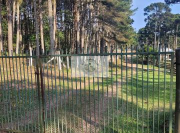 Rural · 52380m² · 1 Quarto · Sítio escriturado com 52.000 m², com nascente e lindas araucarias