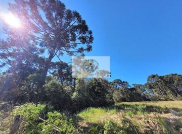 Rural · 30000m² · 1 Quarto · Sítio com 30.000 m², escriturado, região de Avenquinha