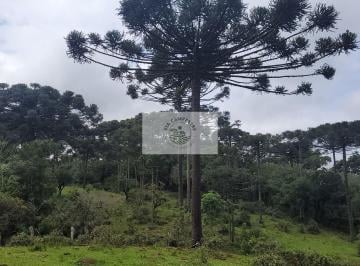 Rural · 85107m² · 2 Quartos · Sítio com 85.107 m², escriturado, com casa simples e galpão, lindas araucarias