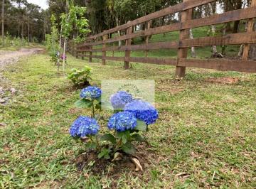 Rural · 99363m² · 1 Quarto · Terreno em Campo Alegre com 99.000 m², com pastagem, uma linda lagoa, escriturado