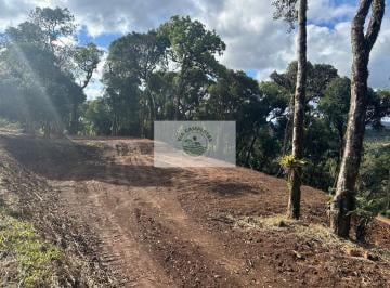 Rural · 20000m² · 1 Quarto · Sítio com 20.000 m², escriturado, 8 km do asfalto, analisa permuta, apenas R$ 395.000,00