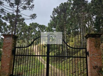 Rural · 20000m² · 1 Quarto · Sítio com 20.000 m², escriturado, pertinho do asfalto, analisa permuta