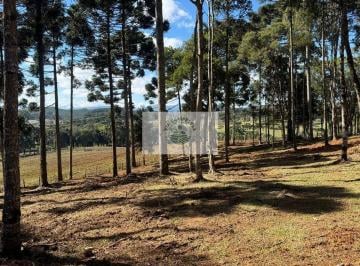 Rural · 2400m² · 1 Quarto · Terreno para sitio com 2.400 m², região do Saltinho, com linda vista
