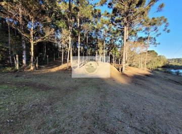 Rural · 20000m² · 1 Quarto · Sítio com 20.000 m², no Lageado, com riacho e lindas araucarias, 100 metros do asfalto