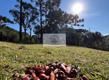 Rural · 19991m² · 1 Quarto · Sítio em Bateias de Baixo, com 19.991 m², com riacho e lugar alto para construção