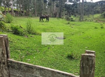 Rural · 85107m² · 2 Quartos · 1 Vaga · Sítio com 85.107 m², escriturado, frente para o asfalto, com casa e galpão, região de São Miguel