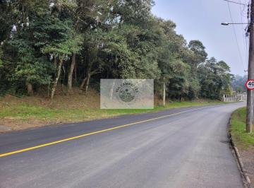 Rural · 6000m² · 1 Quarto · Terreno com 6.000 m², frente para o asfalto, escriturado