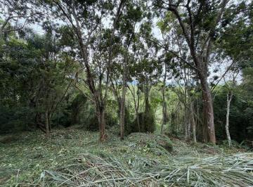 42003_i4535hg97u6_4200369989835b02cf.jpg · Terreno a venda 4800m² Canto Lamim proximo a Jurere.