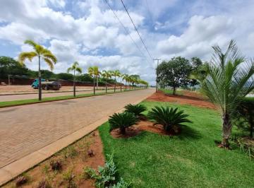 202602202041313960.jpg · Lotes a Prazo para Venda em Crato, São José