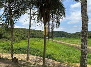 Rural · 55000m² · Sítio com mata nativa e nascente de água em  Luiz Alves/SC