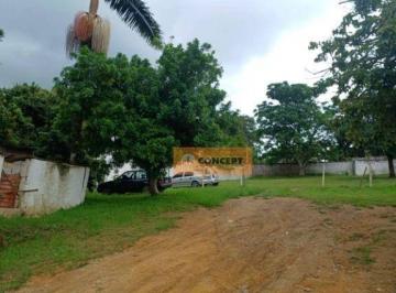 3c10378cedfde197d4e1773813483381e9c1e52a · Chácara com 3 dormitórios à venda, 11000 m² por R$ 3.500.000,00 - Estância São Luís - Suzano/SP
