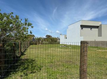 Lote · IMMC Lote 64