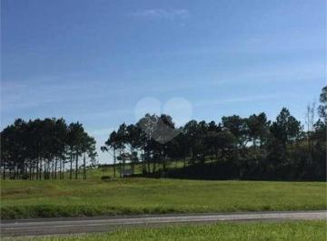 Terreno · 10900m² · Terreno à venda em Vila artura - SP