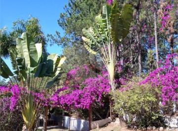 Rural · 600m² · 3 Quartos · 10 Vagas · Chácara com 3 quartos à venda em Brigadeiro Tobias - SP