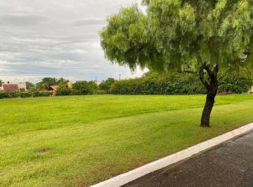10182_i1Wy21e19Zvi4Tw256_101826998e1595f4d0.jpg · Terreno Condomínio | Green Village | Cambé