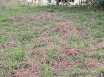 Rural de 2 quartos, Guapimirim · Sítio em Guapimirim ( Parada Ideal)