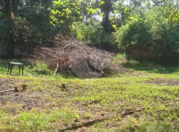 Terreno · 7843m² · Área de Terra à venda em Jardim patriarca - SP