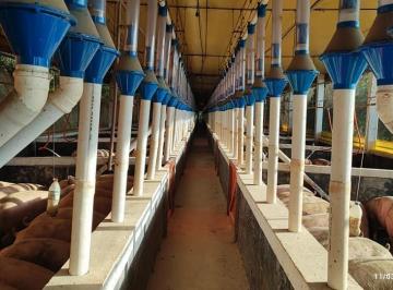 Imagem 1 · Fazenda