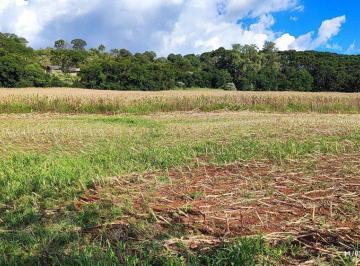 Imagem 1 · Fazenda