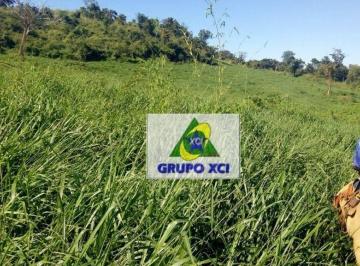 Imagem 1 · Fazenda