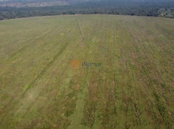 Imagem 1 · Fazenda