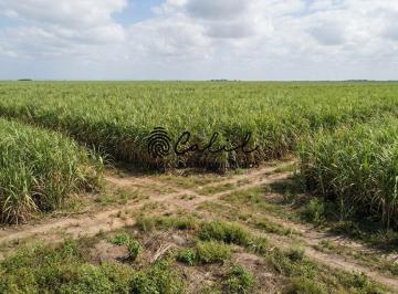 Imagem 1 · Fazenda