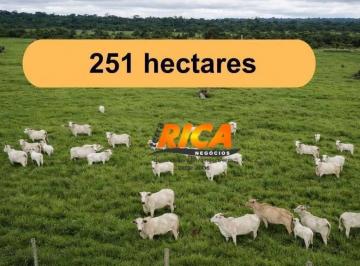 Imagem 1 · Fazenda