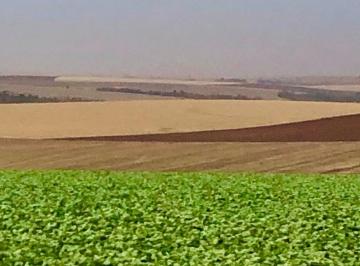 Imagem 1 · Fazenda