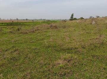 Imagem 1 · Fazenda