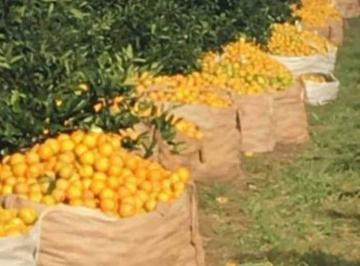 Imagem 1 · Fazenda