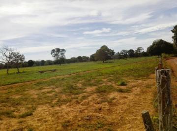 Imagem 1 · Fazenda