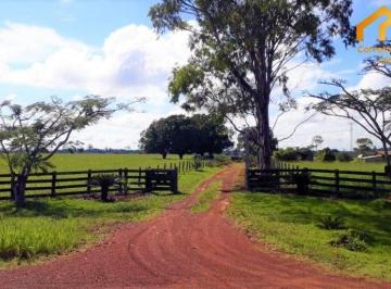 Imagem 1 · Fazenda