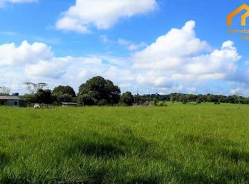 Imagem 1 · Fazenda