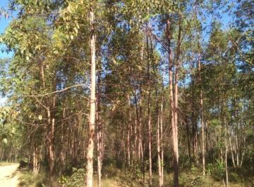 Imagem 1 · Fazenda