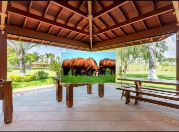 Imagem 1 · Haras e Área Rural Padrão