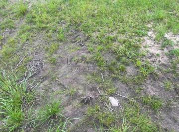 Imagem 1 · Fazenda para venda em Pantano Grande