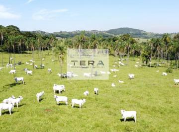 Imagem 1 · Fazenda