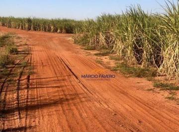 Imagem 1 · Fazenda
