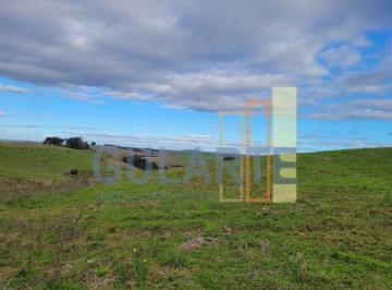 Imagem 1 · Fazenda