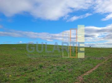 Imagem 1 · Fazenda para venda em Centro, Rio Pardo