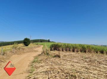 Imagem 1 · Fazenda