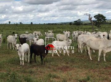 Imagem 1 · Fazenda