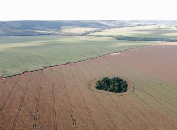 Imagem 1 · Fazenda