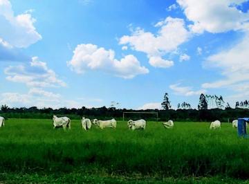 Imagem 1 · Fazenda